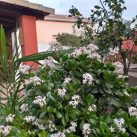 I Due Ciuchini Sardinia Apartment Sassari Exterior photo