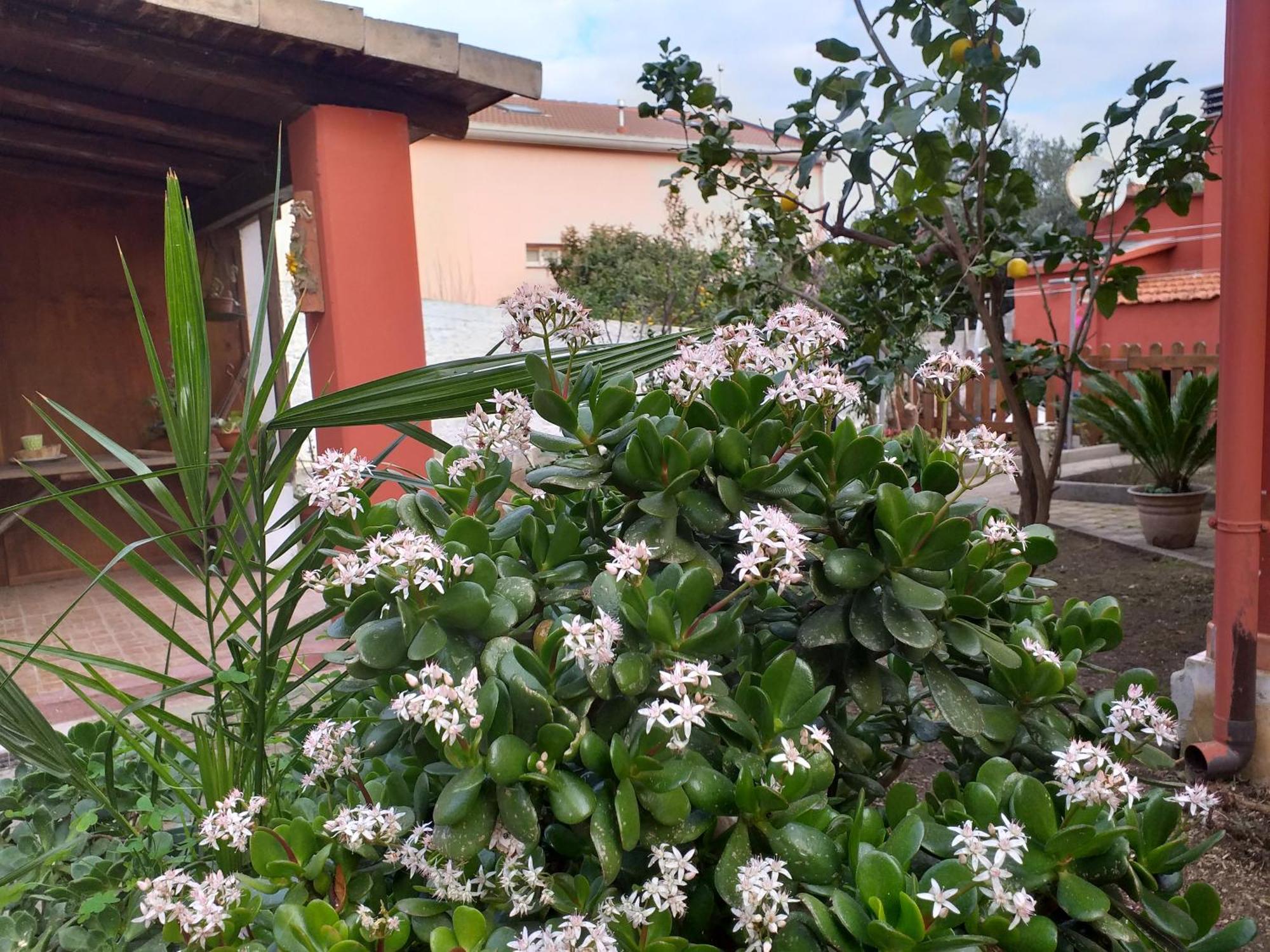 I Due Ciuchini Sardinia Apartment Sassari Exterior photo